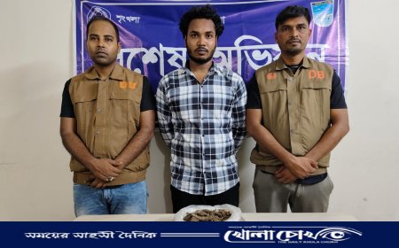 আশুলিয়ায় মধ্যরাতে ডিবির হানা, ৫০০ গ্রাম গাঁজাসহ যুবক গ্রেপ্তার