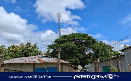 থানচিতে নেটওয়ার্ক বিপর্যয়: জরুরি সেবা বন্ধ, বিপাকে হাজারো মানুষ