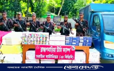 বিজয়নগরে বিজিবির বিশেষ অভিযানে ভারতীয় চোরাচালানী পণ্য জব্দ