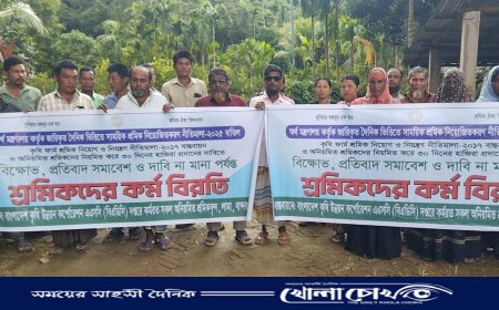 লামায় ৮ দফা দাবি নিয়ে বিএডিসি শ্রমিকদের মানববন্ধন, কর্ম বিরতি চলছে