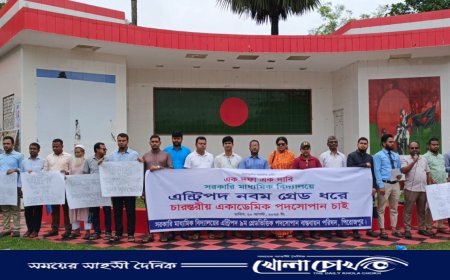 চার স্তরের একাডেমিক পদসোপান চেয়ে পিরোজপুরে শিক্ষকদের মানববন্ধন