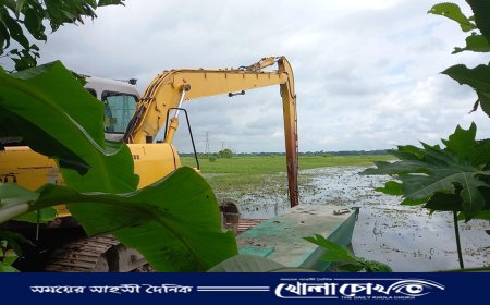 ফসলি জমি গিলে খাচ্ছে মাছের ঘের: মাদারীপুরে কৃষকের স্বপ্ন বাঁচাতে ১৪৪ ধারা