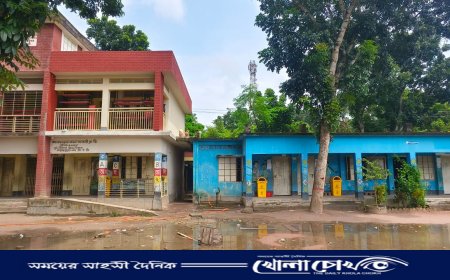 দিকহারা আলফাডাঙ্গার প্রাথমিক শিক্ষা, কিনারাহীন সংকটে শিক্ষার্থীরা