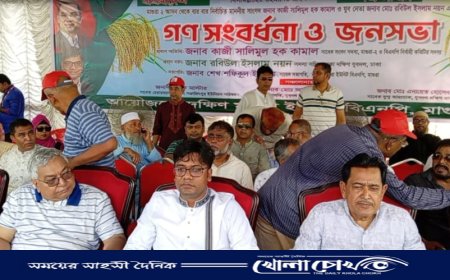 "গ্রুপিং নয়, দলই আগে" - মাগুরায় গণসংবর্ধনা থেকে কামাল ও নয়নের কড়া বার্তা