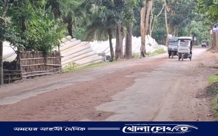 খানাখন্দে ভরা পিরোজপুর-বরিশাল মহাসড়ক: সংস্কারের নামে দুর্নীতি, জনদুর্ভোগ চরমে