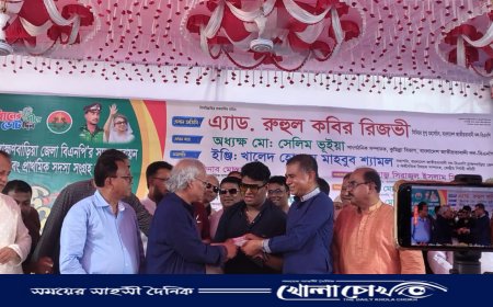 বিএনপির কমিটিতে চাঁদাবাজ-ভূমিদস্যুদের স্থান নেই