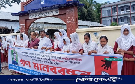 চিরকুটে লেখা ‘আমার মৃত্যুর কারণ পান্না’