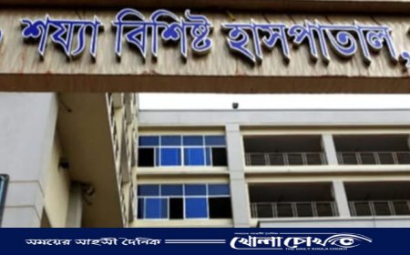 মাগুরায় ঘাতক ট্রাকের চাকায় পিষ্ট হয়ে ট্রলিচালকের মর্মান্তিক মৃত্যু