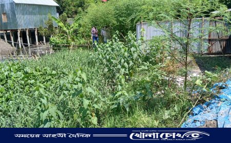 শ্রীনগরে খাল দখল-দূষণের মহোৎসব, অস্তিত্ব হারাচ্ছে বালাশুর বানিয়াবাড়ি খাল