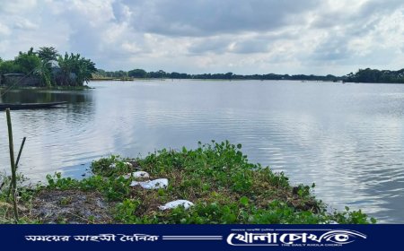 চারদিকে অথৈ জল, মাঝখানে বাঁচার লড়াই। আলফাডাঙ্গার চরে প্রশ্ন একটাই—ত্রাণ মিলবে কবে?