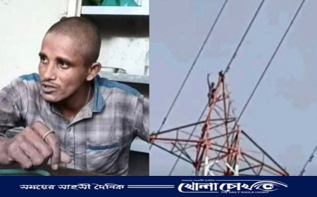 নেছারাবাদে মানসিক ভারসাম্যহীন যুবকের লঙ্কাকাণ্ডে হতবাক এলাকাবাসী