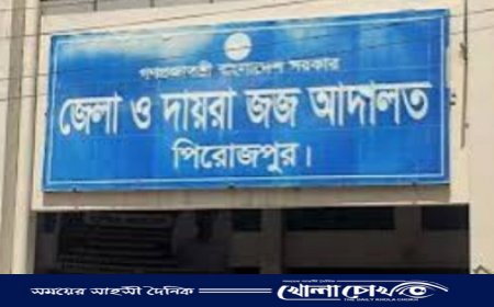 পিরোজপুরে কিশোরী অপহরণ ও ধর্ষণ মামলায় মূল আসামি গ্রেফতার