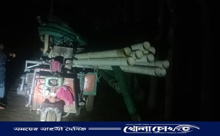 আলীকদমে অবৈধ বালি উত্তোলনের বিরুদ্ধে ইউএনও’র অভিযান