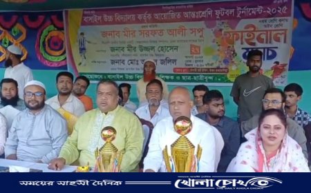 বিএনপি ক্ষমতায় এলে উন্নয়নের জোয়ার বইবে: মীর সরফত আলী সপু
