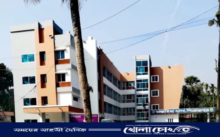 ভান্ডারিয়ায় পাঠাগার ভাঙচুর ও মিথ্যা চুরির মামলায় হয়রানির অভিযোগ