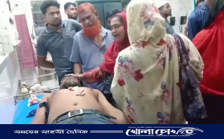 ভান্ডারিয়ায় চোরের হাতে ওয়ার্ড বিএনপি নেতার মৃত্যু