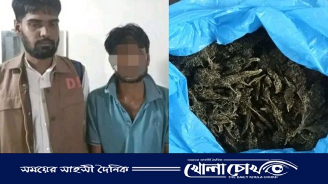 ইন্দুরকানীতে ডিবি পুলিশের বিশেষ অভিযানে গাঁজাসহ গ্রেফতার ১