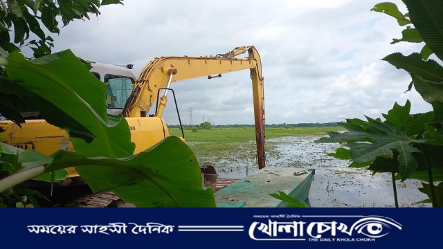 ফসলি জমি গিলে খাচ্ছে মাছের ঘের: মাদারীপুরে কৃষকের স্বপ্ন বাঁচাতে ১৪৪ ধারা