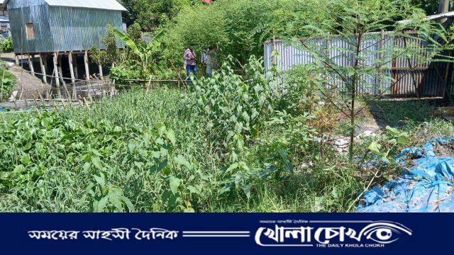 শ্রীনগরে খাল দখল-দূষণের মহোৎসব, অস্তিত্ব হারাচ্ছে বালাশুর বানিয়াবাড়ি খাল