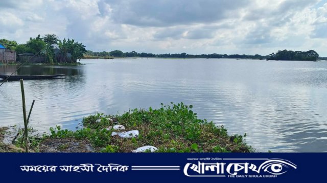 চারদিকে অথৈ জল, মাঝখানে বাঁচার লড়াই। আলফাডাঙ্গার চরে প্রশ্ন একটাই—ত্রাণ মিলবে কবে?
