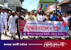 পিআর পদ্ধতিতে জাতীয় নির্বাচনের দাবিতে নাজিরপুরে জামায়াতের বিক্ষোভ মিছিল