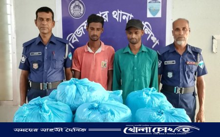 বিজয়নগরে ২৬ কেজি গাঁজাসহ দুই মাদক কারবারি গ্রেফতার