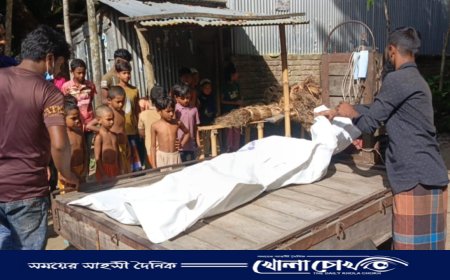 সালথায় পারিবারিক কলহে স্বামীর হাতে স্ত্রী নিহত