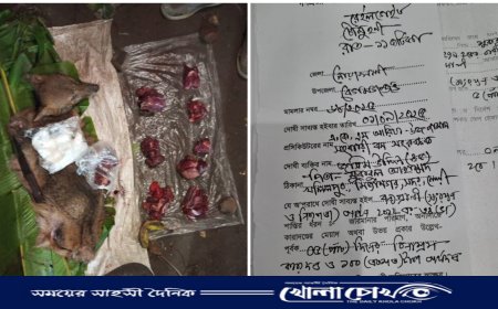 বেগমগঞ্জে শিয়ালের মাংস বিক্রি: ভ্রাম্যমাণ আদালতে ২ জনের কারাদণ্ড