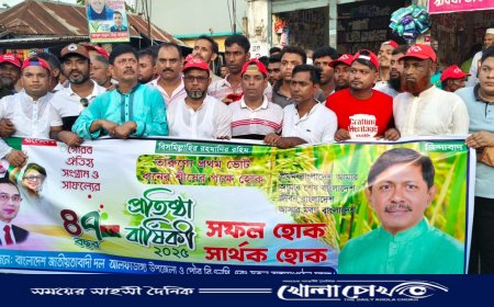 বর্ণাঢ্য আয়োজনে আলফাডাঙ্গায় বিএনপির প্রতিষ্ঠাবার্ষিকী পালিত