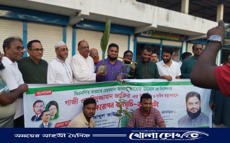 মঠবাড়িয়ায় ২৫ কিলোমিটার আঞ্চলিক মহাসড়কে বৃক্ষরোপণ কর্মসূচি শুরু