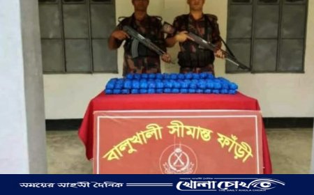 উখিয়া সীমান্তে বিজিবির শ্বাসরুদ্ধকর অভিযান: ২ লাখ ৮০ হাজার ইয়াবা জব্দ