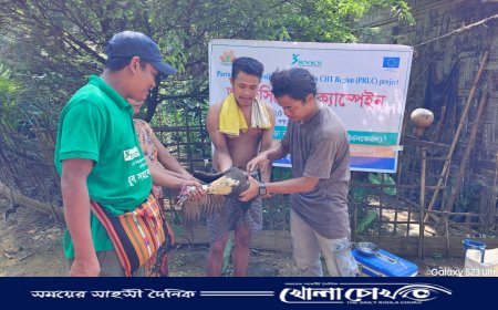 থানচির দুর্গম পাহাড়ে বিনামূল্যে প্রাণিসম্পদের টিকাদান