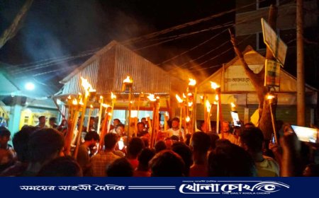 আসন বিন্যাসের প্রতিবাদে বিজয়নগরে  যুবদলের মশাল মিছিল