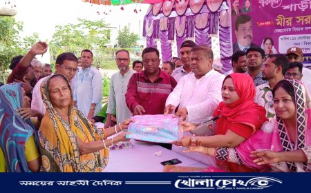 বিএনপি দখলবাজির রাজনীতি করে না: মীর সরফত আলী সপু