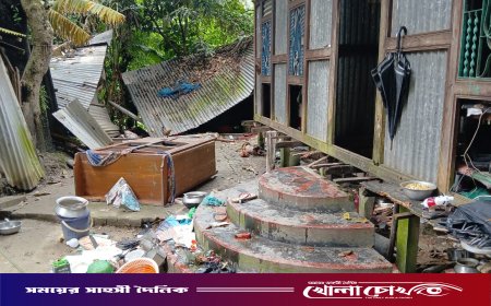 শ্রীনগরে জমি নিয়ে বিরোধের জেরে বিধবার বাড়িতে হামলা