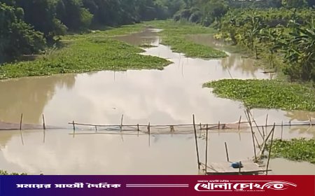উপজেলা প্রশাসনের হস্তক্ষেপে মুক্ত হলো খোকসার হাওর নদীর বাঁধ