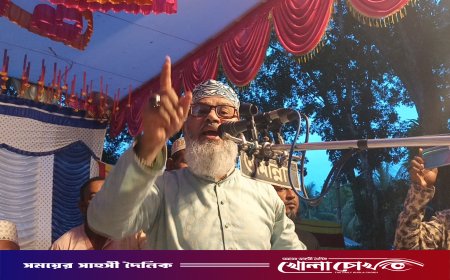 পিরোজপুর-১ আসনকে মডেল হিসেবে গড়ার প্রতিশ্রুতি মাসুদ সাঈদীর