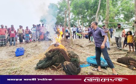 মৎস্য সম্পদ রক্ষায় আত্রাইয়ের খালে অভিযান, অবৈধ সুতিজাল উচ্ছেদ ও ধ্বংস