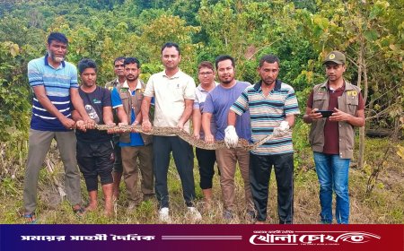কাপ্তাই জাতীয় উদ্যানে ৮ ফুট দীর্ঘ অজগর সাপ অবমুক্ত