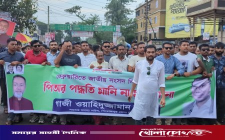 পিআর পদ্ধতিতে নির্বাচনের বিরুদ্ধে পিরোজপুরে বিএনপি’র বিক্ষোভ মিছিল