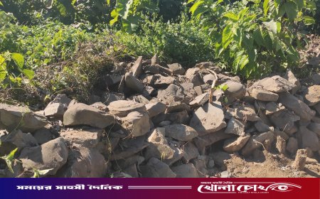 রোয়াংছড়িতে ১৬ হাজার ঘনফুটের বেশি জব্দকৃত পাথর নিলামে বিক্রি