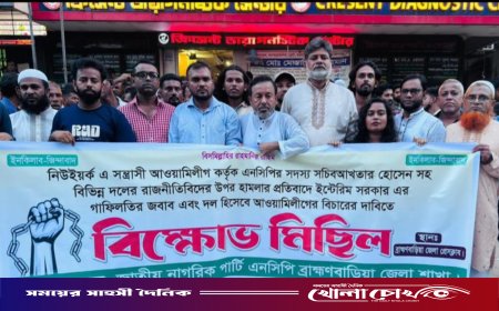 এনসিপি নেতাদের ওপর নিউইয়র্কে হামলার ঘটনায় ব্রাহ্মণবাড়িয়ায় বিক্ষোভ