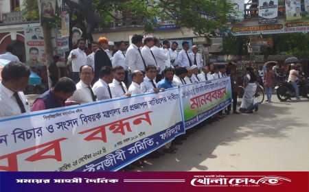 ফরিদপুরে আইন মন্ত্রণালয়ের প্রজ্ঞাপন বাতিলের দাবিতে আইনজীবীদের মানববন্ধন