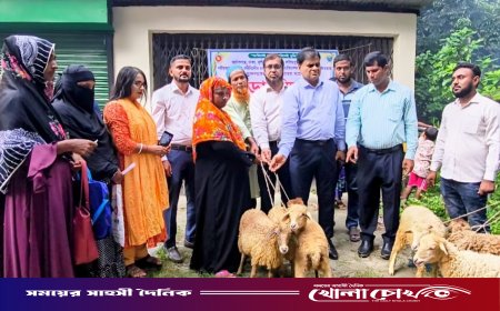 ফরিদপুরের চরাঞ্চলে সমন্বিত প্রাণিসম্পদ উন্নয়ন প্রকল্পের আওতায় ভেড়া বিতরণ