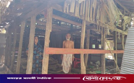 জমি দখলের চেষ্টায় অসহায় পরিবারের বসতঘর ভাঙচুর