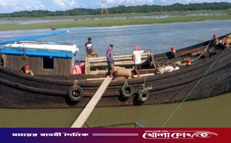 মিয়ানমারে পাচারকালে লবণসহ পণ্যবোঝাই ট্রলার ও ট্রাক জব্দ