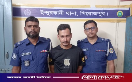 পিরোজপুরে ইয়াবাসহ ০১ মাদক ব্যবসায়ী গ্রেফতার