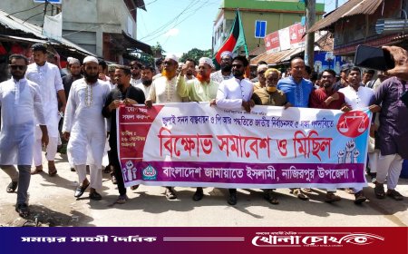 পিআর পদ্ধতিতে জাতীয় নির্বাচনের দাবিতে নাজিরপুরে জামায়াতের বিক্ষোভ মিছিল