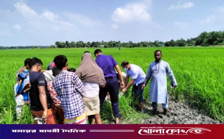 নাসিরনগরে নিখোঁজের ৫ দিন পর জমি থেকে বৃদ্ধের কঙ্কাল উদ্ধার