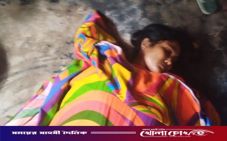 ফরিদপুরে ‌গলায় ফাঁস নিয়ে গৃহবধূর আত্মহত্যা